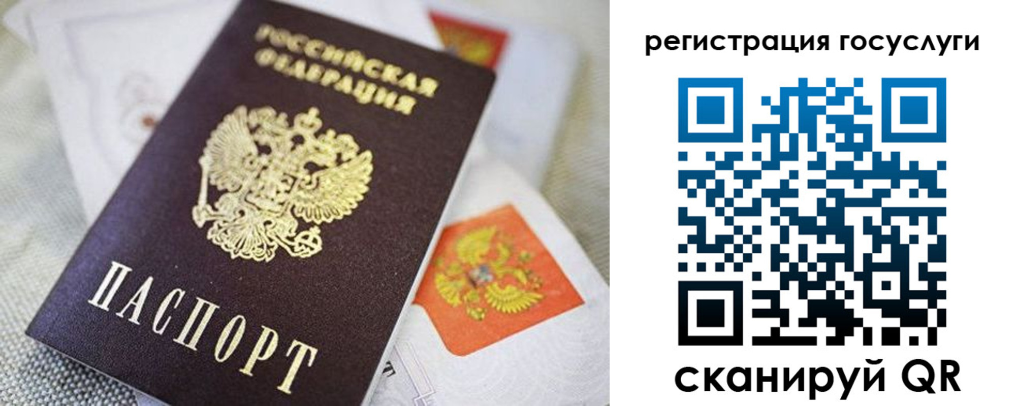 прописка паспорт в Лесозаводске